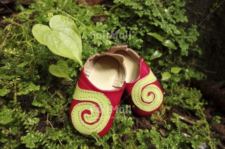 Fair Trade Photo Closeup, Colour image, Day, Forest, Green, Horizontal, Leaf, Nature, New baby, Outdoor, Peru, Plant, Red, Shoe, South America