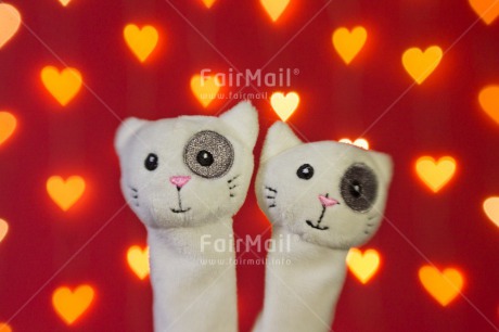 Fair Trade Photo Animals, Cat, Colour image, Heart, Light, Love, Marriage, Peluche, Peru, Red, South America, Valentines day, Wedding