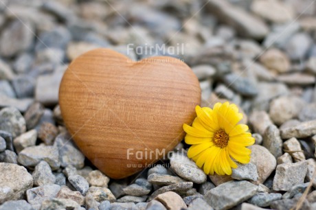 Fair Trade Photo Birth, Colour image, Flower, Heart, Horizontal, Love, Marriage, New baby, Peru, Rock, South America, Thinking of you, Valentines day, Wedding, Yellow