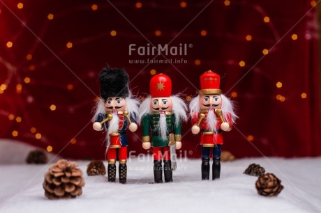 Fair Trade Photo Christmas, Christmas decoration, Light, Nature, Object, Pine cone, Snow