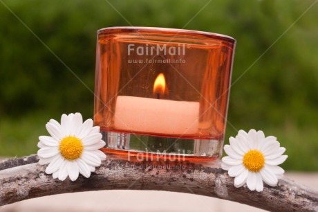 Fair Trade Photo Candle, Colour image, Condolence-Sympathy, Daisy, Flame, Flower, Horizontal, Peru, South America, Thinking of you, Wellness