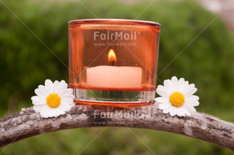 Fair Trade Photo Candle, Colour image, Condolence-Sympathy, Daisy, Flame, Flower, Horizontal, Peru, South America, Thinking of you, Wellness