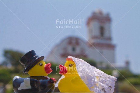 Fair Trade Photo Animals, Bride, Colour image, Duck, Groom, Horizontal, Marriage, Peru, South America, Wedding
