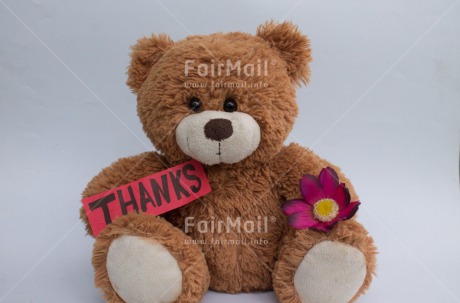 Fair Trade Photo Flower, Letter, Teddybear, Thank you