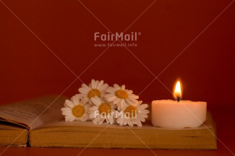 Fair Trade Photo Book, Candle, Colour image, Condolence-Sympathy, Daisy, Flower, Horizontal, Indoor, Light, Love, Peru, South America, White