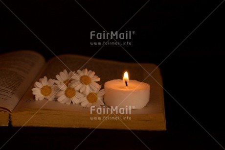 Fair Trade Photo Black, Book, Candle, Colour image, Condolence-Sympathy, Daisy, Flower, Horizontal, Indoor, Light, Love, Night, Peru, South America, White