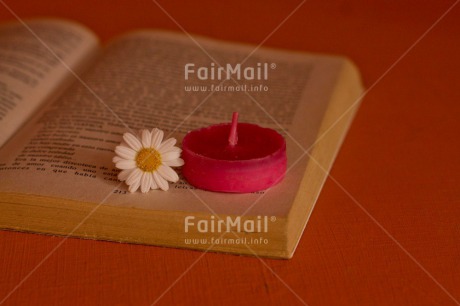 Fair Trade Photo Book, Candle, Colour image, Condolence-Sympathy, Daisy, Flower, Horizontal, Indoor, Love, Peru, Red, South America, White