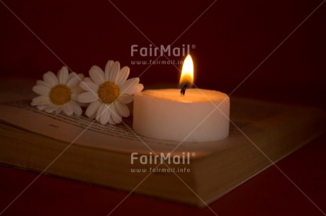 Fair Trade Photo Candle, Colour image, Condolence-Sympathy, Daisy, Flame, Flowers, Horizontal, Indoor, Light, Peru, Silence, South America, White