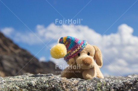 Fair Trade Photo Animals, Clothing, Cold, Colour image, Colourful, Day, Dog, Hat, Horizontal, Mountain, Multi-coloured, Nature, Outdoor, Peru, Seasons, South America, Toy, Winter