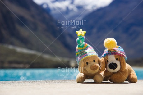 Fair Trade Photo Animals, Brother, Clothing, Cold, Colour image, Colourful, Day, Dog, Friendship, Hat, Horizontal, Lake, Mountain, Multi-coloured, Nature, Outdoor, Peru, Seasons, Sister, South America, Toy, Winter