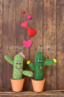 Fair Trade Photo Cactus, Colour image, Couple, Door, Friendship, Funny, Heart, Love, Peru, Red, South America, Valentines day, Wood