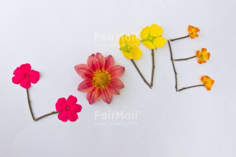Fair Trade Photo Colour image, Colourful, Flower, Letters, Love, Multi-coloured, Peru, South America, Text, Valentines day