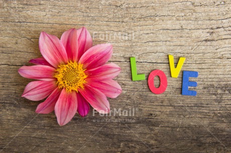 Fair Trade Photo Colour image, Colourful, Flower, Letters, Love, Multi-coloured, Peru, Pink, South America, Text, Valentines day, Wood