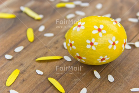 Fair Trade Photo Colour image, Colourful, Easter, Egg, Flower, Food and alimentation, Horizontal, Love, Marriage, Mothers day, New baby, Peru, Petals, South America, Thinking of you, Wedding, Yellow