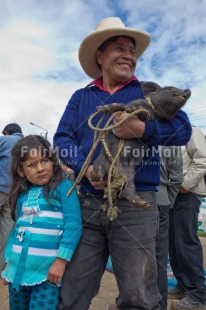 Fair Trade Photo Activity, Agriculture, Animals, Day, Family, Farmer, Latin, Looking away, Market, One girl, One man, Outdoor, People, Peru, Pig, Portrait halfbody, Rural, Selling, Smiling, Sombrero, South America, Swine, Vertical