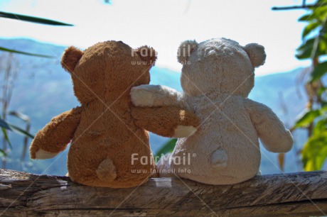 Fair Trade Photo Activity, Colour image, Cute, Day, Friendship, Hugging, Love, Outdoor, Peru, Scenic, South America, Teddybear, Together, Tree