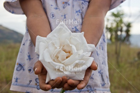 Fair Trade Photo Activity, Colour image, Day, Flower, Giving, Hand, One girl, Outdoor, People, Peru, South America, White
