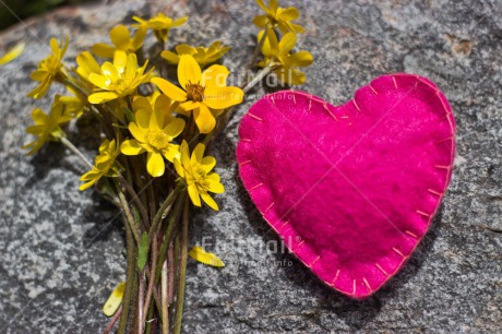 Fair Trade Photo Closeup, Colour image, Flower, Heart, Horizontal, Mothers day, Peru, Pink, South America, Stone, Valentines day, Yellow