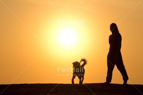 Fair Trade Photo Animals, Care, Colour image, Dog, Friendship, Holiday, Horizontal, Love, One girl, People, Peru, Shooting style, Silhouette, South America, Summer, Sunset, Travel