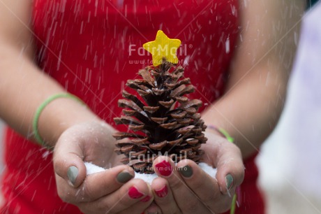 Fair Trade Photo Activity, Christmas, Colour image, Giving, Hand, Horizontal, Peru, Pine, Red, Seasons, Snow, South America, Star, White, Winter, Yellow