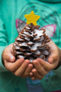 Fair Trade Photo Christmas, Closeup, Colour image, Hand, Peru, Pine, Shooting style, Snow, South America, Star, Vertical