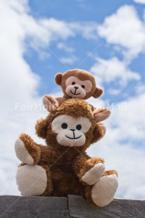 Fair Trade Photo Animals, Blue, Clouds, Colour image, Emotions, Fathers day, Friendship, Happiness, Love, Monkey, Mothers day, New baby, Peru, Sky, South America