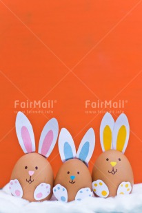 Fair Trade Photo Animals, Birth, Colour image, Colourful, Easter, Egg, Food and alimentation, New baby, Peru, Rabbit, South America