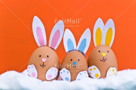 Fair Trade Photo Animals, Birth, Colour image, Colourful, Easter, Egg, Food and alimentation, Horizontal, New baby, Peru, Rabbit, South America