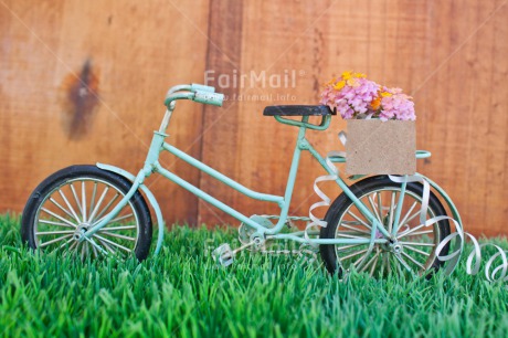 Fair Trade Photo Bicycle, Colour image, Colourful, Flower, Grass, Green, Horizontal, Love, Marriage, Peru, South America, Thinking of you, Transport, Valentines day, Wedding, Wood