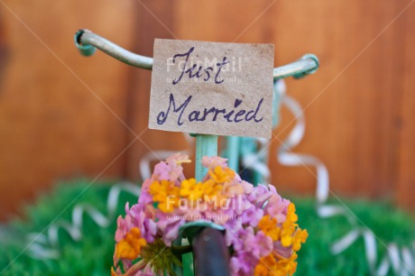 Fair Trade Photo Bicycle, Colour image, Colourful, Flower, Grass, Green, Horizontal, Letter, Love, Marriage, Peru, South America, Text, Thinking of you, Transport, Valentines day, Wedding, Wood