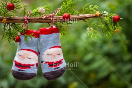 Fair Trade Photo Candy, Christmas, Christmas decoration, Christmas tree, Clothing, Food and alimentation, Object, Present, Sock