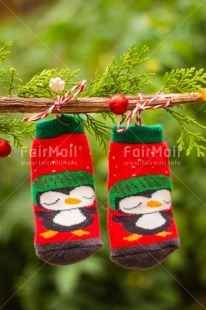 Fair Trade Photo Candy, Christmas, Christmas decoration, Christmas tree, Clothing, Food and alimentation, Object, Present, Sock