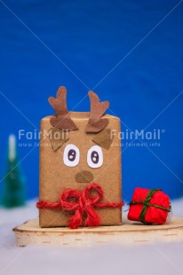 Fair Trade Photo Animals, Blue, Christmas, Christmas decoration, Colour, Object, Present, Reindeer, Snow