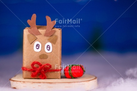Fair Trade Photo Animals, Christmas, Christmas decoration, Object, Present, Reindeer, Snow
