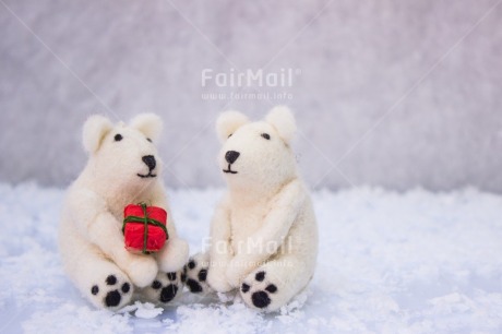Fair Trade Photo Animals, Bear, Christmas, Christmas decoration, Object, Peluche, Polar bear, Snow