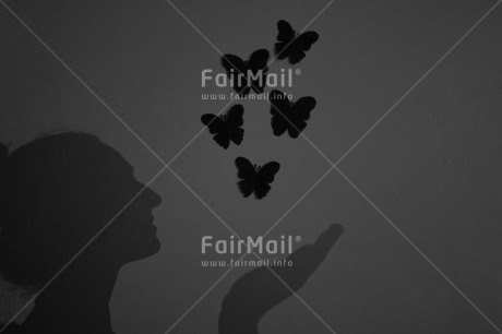 Fair Trade Photo Artistique, Black and white, Butterfly, Condolence-Sympathy, Get well soon, Horizontal, Peru, Shadow, Shooting style, South America