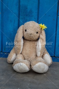 Fair Trade Photo Animals, Colour image, Cute, Flower, Friendship, Mothers day, Peru, Rabbit, South America, Thank you, Valentines day, Vertical