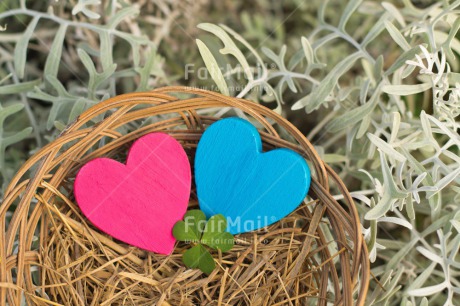 Fair Trade Photo Blue, Christmas, Clover, Colour image, Easter, Fathers day, Green, Heart, Horizontal, Love, Mothers day, Nest, New baby, Outdoor, Peru, Pink, Seasons, Snow, South America, Spring, Summer, Valentines day, White, Winter