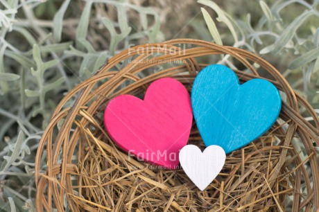Fair Trade Photo Blue, Christmas, Colour image, Easter, Heart, Horizontal, Love, Nest, New baby, Outdoor, Peru, Pink, Seasons, Snow, South America, Spring, Summer, White, Winter