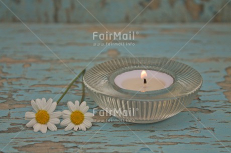 Fair Trade Photo Blue, Candle, Colour image, Condolence-Sympathy, Daisy, Day, Flower, Flowers, Horizontal, Light, Mothers day, Peru, South America, White