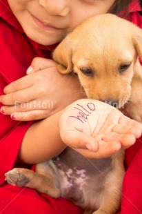 Fair Trade Photo Animals, Child, Colour image, Dog, Friendship, Girl, Greeting, Hands, People, Peru, Puppy, Red, South America, Thinking of you, Vertical