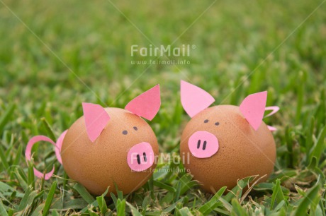 Fair Trade Photo Animals, Birthday, Colour image, Colourful, Easter, Egg, Food and alimentation, Friendship, Grass, Horizontal, Love, Marriage, Peru, Pig, Pink, South America, Thinking of you, Valentines day