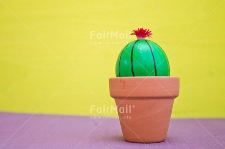 Fair Trade Photo Birthday, Cactus, Colour image, Colourful, Easter, Egg, Food and alimentation, Horizontal, Love, Peru, South America, Thank you, Thinking of you