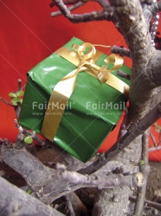 Fair Trade Photo Christmas, Colour image, Gift, Green, Indoor, Nature, Peru, Red, South America, Studio, Tree, Vertical