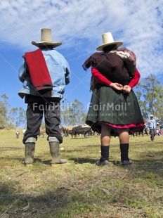 Fair Trade Photo Animals, Clothing, Colour image, Cow, Dailylife, Ethnic-folklore, Farmer, Friendship, Love, Market, Marriage, Multi-coloured, Nature, One man, One woman, Outdoor, People, Peru, Rural, Skirt, Sombrero, South America, Together, Traditional clothing, Vertical