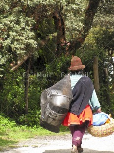 Fair Trade Photo Activity, Carrying, Clothing, Colour image, Day, Forest, Hat, Nature, One woman, Outdoor, Pan, People, Peru, Rural, South America, Traditional clothing, Tree, Vertical, Walking