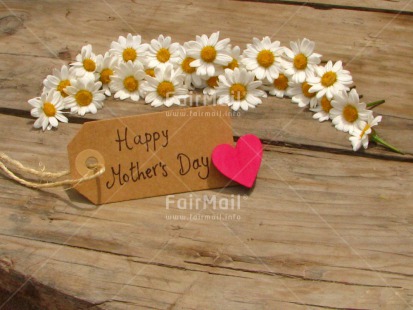 Fair Trade Photo Card, Colour image, Daisy, Desk, Fathers day, Flowers, Good luck, Heart, Horizontal, Love, Message, Mothers day, Peru, Red, Sorry, South America, Table, Thank you, Valentines day, White, Wood