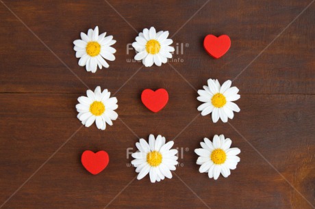 Fair Trade Photo Brown, Colour image, Daisy, Fathers day, Flower, Flowers, Game, Heart, Indoor, Love, Marriage, Mothers day, Peru, Red, South America, Studio, Valentines day, Wedding, White, Wood