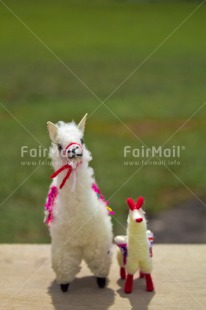 Fair Trade Photo Animals, Child, Colour image, Couple, Fathers day, Friendship, Llama, Love, Mother, Mothers day, Outdoor, Peru, South America, Together, Toy, Two