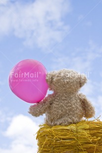Fair Trade Photo Baby, Balloon, Birth, Birthday, Brother, Chachapoyas, Clouds, Colour image, Congratulations, Fathers day, Friendship, Get well soon, Girl, Holiday, Love, Mothers day, New baby, New beginning, New home, Party, Peluche, People, Peru, Pink, Sister, Sky, Sorry, South America, Thank you, Thinking of you, Valentines day, Vertical, Welcome home, Yellow